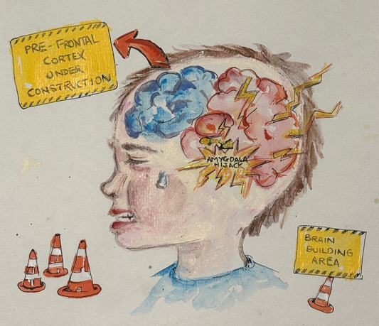 Why consequences often don't work for young kids